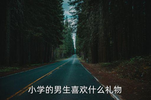 小學(xué)的男生喜歡什么禮物