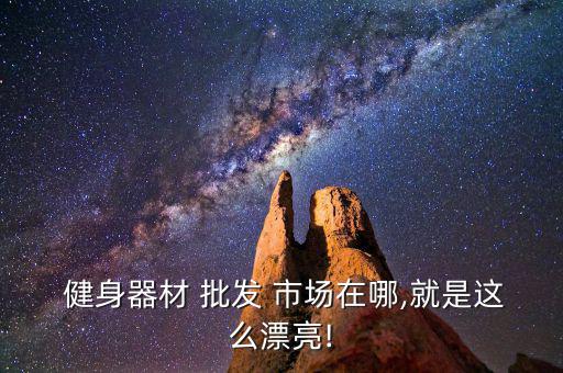  健身器材 批發(fā) 市場(chǎng)在哪,就是這么漂亮!