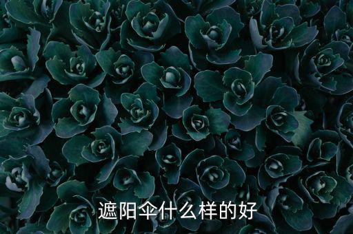 庭院遮陽(yáng)傘圖片大全,防紫外線傘和遮陽(yáng)傘一樣可以打