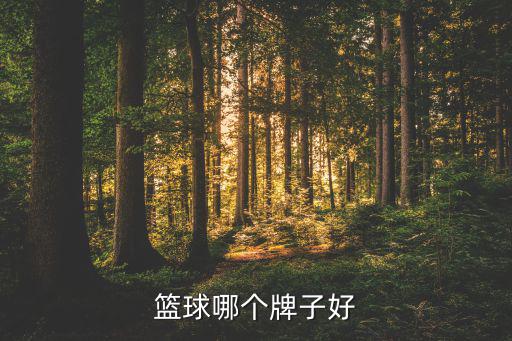 欽州體育用品哪個好,體育用品零售店排行榜第四名無錫排名第4