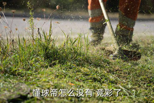 懂球帝怎么沒有 競彩了