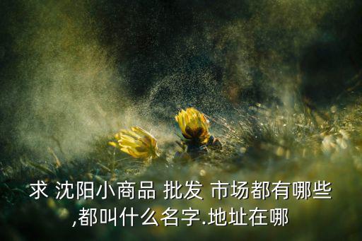 求 沈陽小商品 批發(fā) 市場(chǎng)都有哪些,都叫什么名字.地址在哪