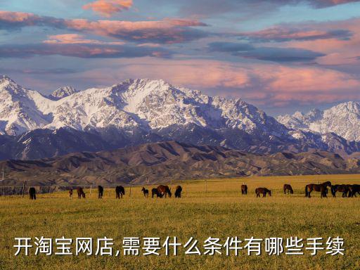 賣體育用品要哪些證,如何進(jìn)行實(shí)名認(rèn)證?一文看懂!!