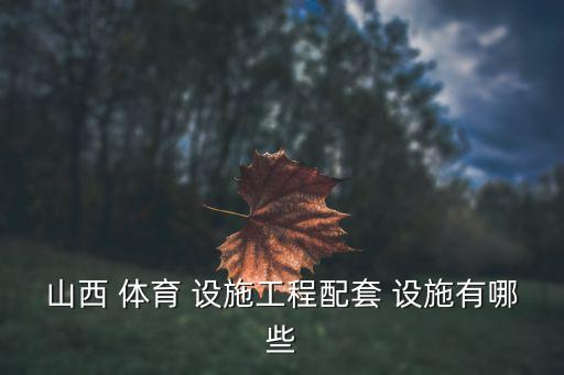 室外體育設(shè)施有哪些,體育設(shè)施/場館概述及其發(fā)展