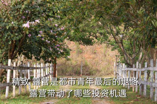 精致 露營是都市青年最后的退路, 露營帶動(dòng)了哪些投資機(jī)遇
