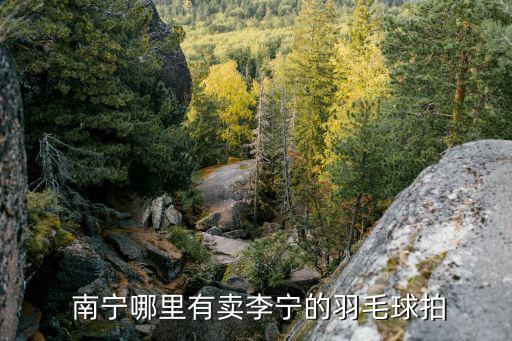  南寧哪里有賣(mài)李寧的羽毛球拍