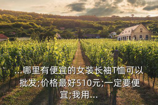...哪里有便宜的女裝長袖T恤可以 批發(fā);價格最好510元;一定要便宜;我用...