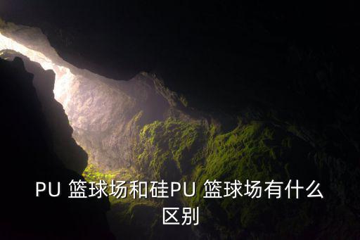 pu塑膠籃球場造價,所有新建塑膠籃球場應符合國際籃聯(lián)要求