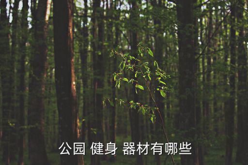 公園里健身器材的名稱,太空行走者健身器扭腰裝置登場