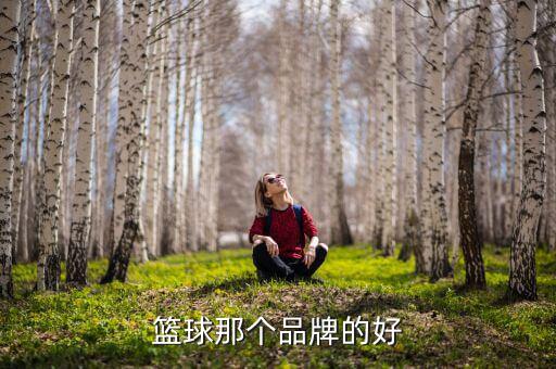 體育器材哪個(gè)品牌好,中國(guó)健身器材行業(yè)十大品牌之一