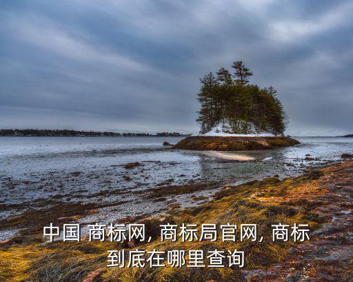 中國(guó) 商標(biāo)網(wǎng), 商標(biāo)局官網(wǎng), 商標(biāo)到底在哪里查詢