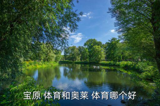 寶原 體育和奧萊 體育哪個(gè)好