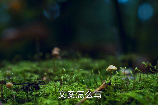 體育用品探店文案怎么寫,如何寫好服務(wù)文案?