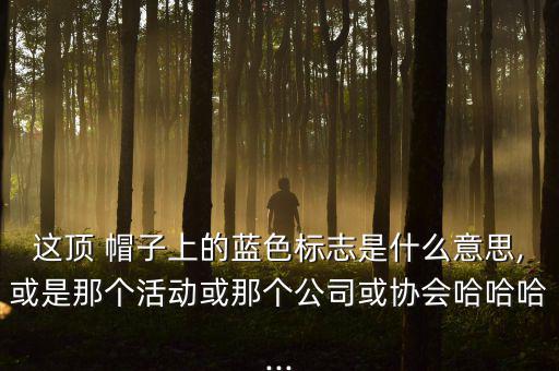 這頂 帽子上的藍(lán)色標(biāo)志是什么意思,或是那個活動或那個公司或協(xié)會哈哈哈...