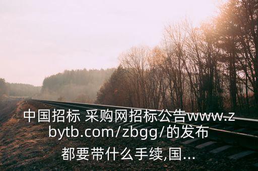 中國(guó)招標(biāo) 采購(gòu)網(wǎng)招標(biāo)公告www.zbytb.com/zbgg/的發(fā)布都要帶什么手續(xù),國(guó)...
