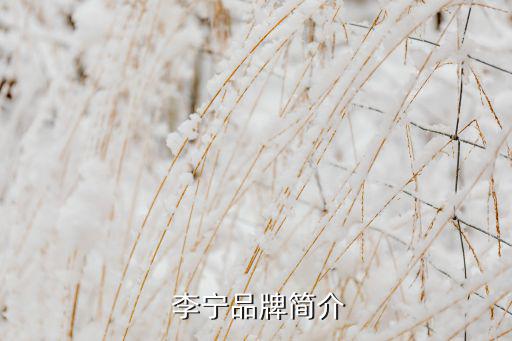  李寧品牌簡介