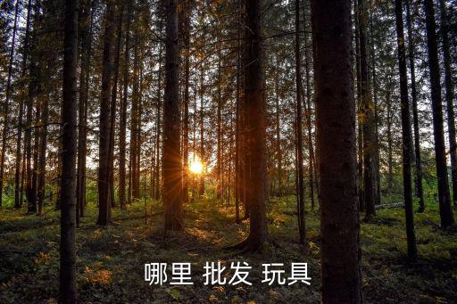 義烏新款玩具批發(fā),玩具批發(fā)便宜的地方有義烏玩具市場
