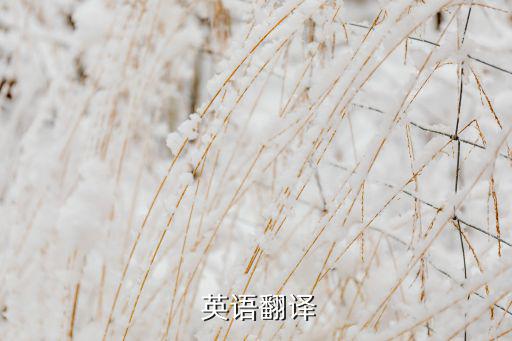 這個排球比賽很有趣英語,我和你一樣希望被歡迎
