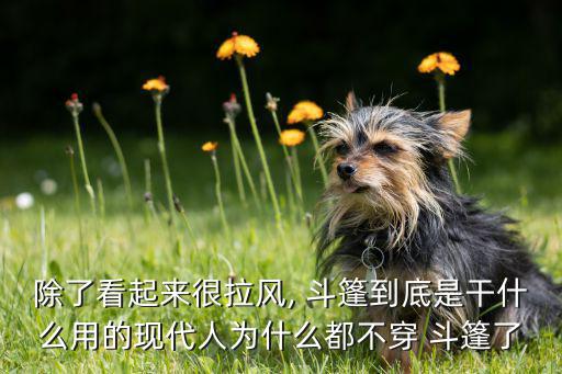 軍用防寒斗篷,中國古代女子冬天穿斗篷防風(fēng)防寒