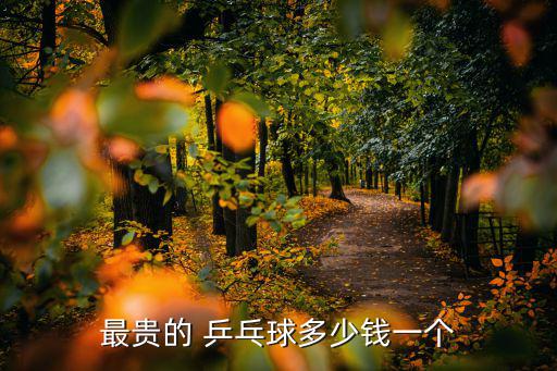 最貴的 乒乓球多少錢一個(gè)