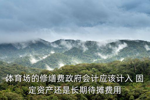 體育場(chǎng)的修繕費(fèi)政府會(huì)計(jì)應(yīng)該計(jì)入 固定資產(chǎn)還是長(zhǎng)期待攤費(fèi)用