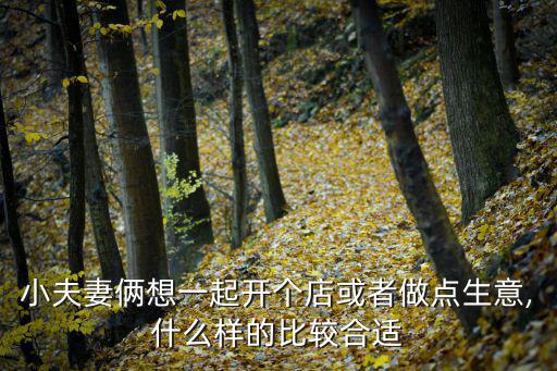 適合一兩個人開的小店,投資人士比投資商更具創(chuàng)意和發(fā)展?jié)摿?/></a></span><span id=