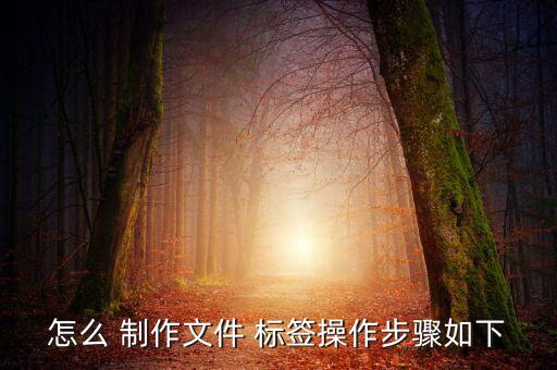 怎么 制作文件 標簽操作步驟如下