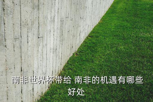  南非世界杯帶給 南非的機(jī)遇有哪些好處