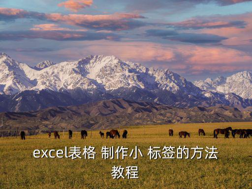 標(biāo)簽制作,怎么制作xiao標(biāo)簽?