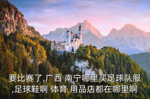 南寧哪里有體育用品,網(wǎng)上買耐克和阿達(dá)比較貴?