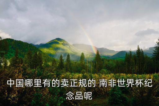 體育用品出口南非哪里的,南非世界杯期間約45萬外國游客抵達(dá)