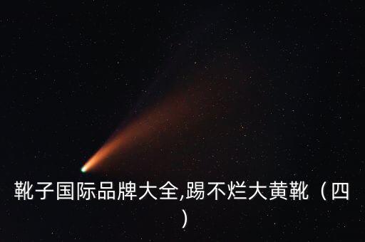 女士靴子國(guó)際品牌大全,踢不爛大黃靴（四）