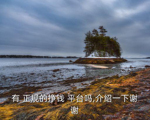 有 正規(guī)的掙錢 平臺(tái)嗎,介紹一下謝謝