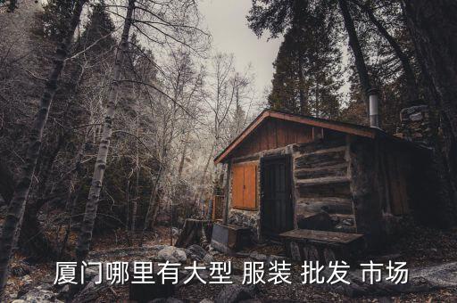 廈門集美服裝批發(fā)市場(chǎng),服裝新款沒必要每款10件起發(fā)朋友圈!