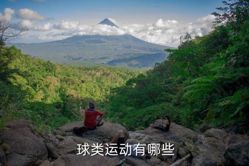 體育球類有哪些,奧運(yùn)會(huì)球類賽事包括哪些球類運(yùn)動(dòng)?