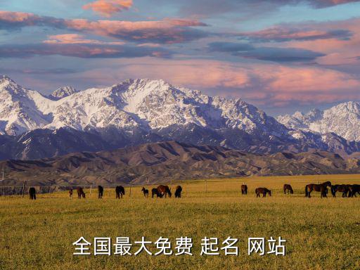 全國最大免費 起名 網(wǎng)站