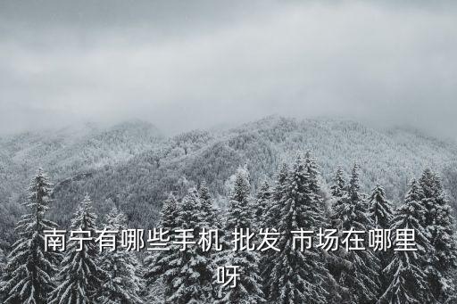 南寧百貨批發(fā)市場有哪些,南寧和平商場位于南寧市中心繁華路