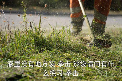 家里沒(méi)有地方裝 拳擊 沙袋請(qǐng)問(wèn)有什么練習(xí) 拳擊