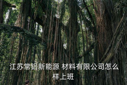 江蘇天宇體育設施材料有限公司,本地公交站臺設施有哪些亮點?