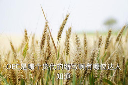 OEC是哪個(gè)貨代的縮寫啊有哪位達(dá)人知道