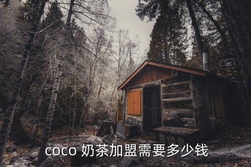 coco奶茶店的加盟,開(kāi)奶茶店需要注意什么?一文看懂