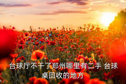 臺球桌圖片,這些臺球是怎么回事?