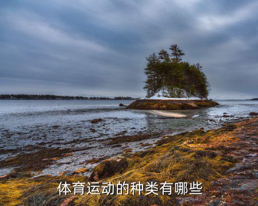  體育運(yùn)動的種類有哪些