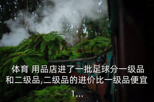  體育 用品店進(jìn)了一批足球分一級(jí)品和二級(jí)品,二級(jí)品的進(jìn)價(jià)比一級(jí)品便宜1...