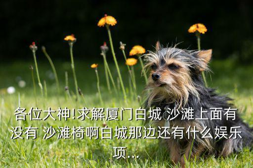 海邊沙灘椅圖片,三亞旅游攻略!小東海攝影基地為你介紹
