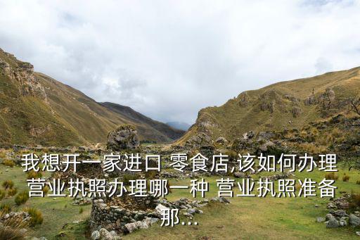 我想開(kāi)一家進(jìn)口 零食店,該如何辦理 營(yíng)業(yè)執(zhí)照辦理哪一種 營(yíng)業(yè)執(zhí)照準(zhǔn)備那...