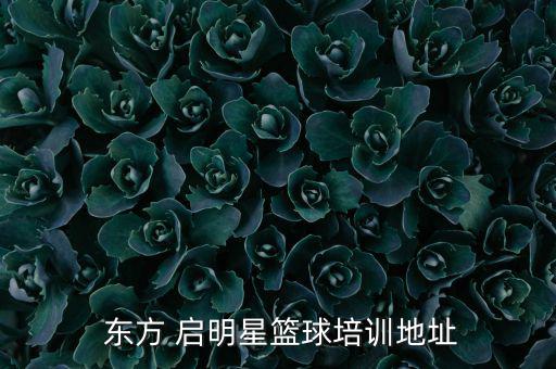 東方啟明星加盟費(fèi)多少錢(qián),東方啟明星籃球培訓(xùn)中心隸屬北京