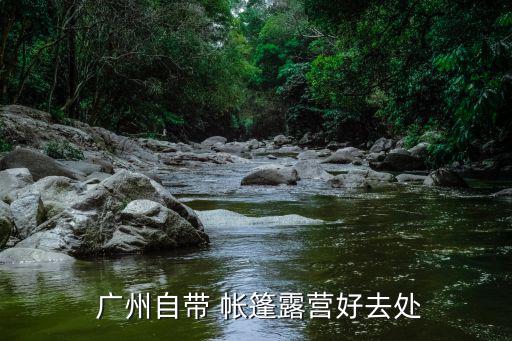 廣州帳篷出租哪家好點,廣州森林營地露營冰川國家公園免費租賃