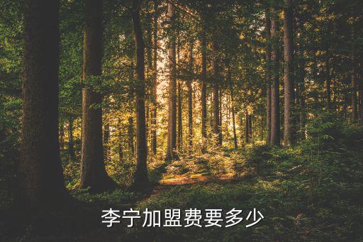 李寧加盟費(fèi)用和條件利潤,新開張李寧專賣店須具備哪八點(diǎn)?
