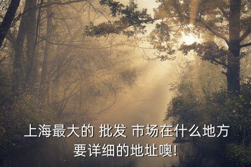  上海最大的 批發(fā) 市場在什么地方要詳細的地址噢!
